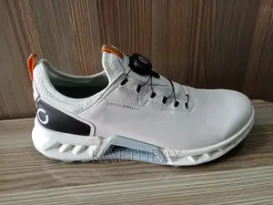 Ecco Men's Biom C4 Boa Gore-Tex Waterproof Golf Shoe