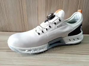 Ecco Men's Biom C4 Boa Gore-Tex Waterproof Golf Shoe