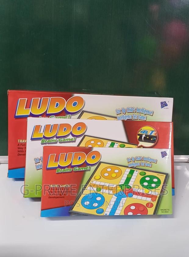 Magnetic Ludo Brain Game - main view