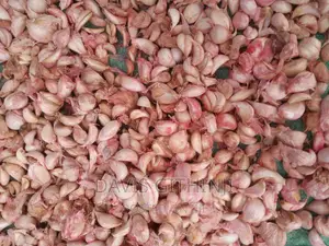 Saumu/Garlic Seeds