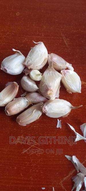 Garlic Seedlings - thumbnail 2