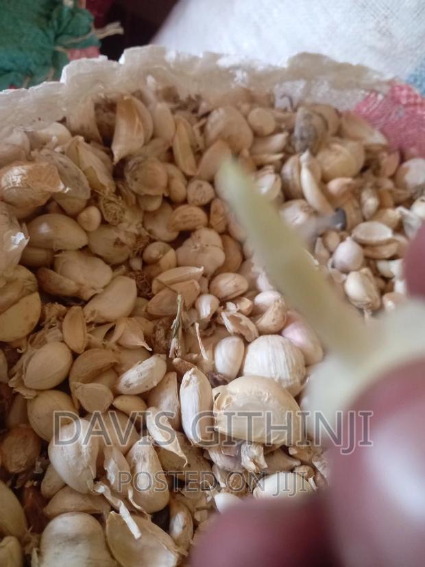 Saumu/Garlic Seeds - thumbnail 2