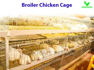 Broiler Cage System