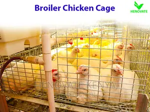 Broiler Cage System