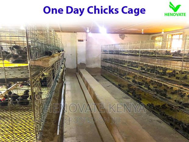 Chicks Cage for One Day - thumbnail 2