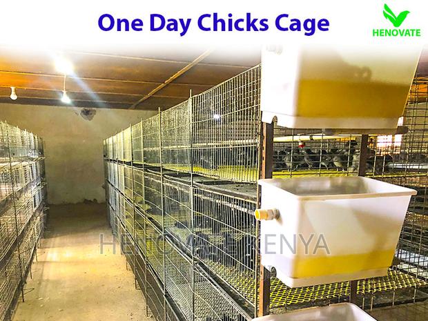 Chicks Cage for One Day - thumbnail 3