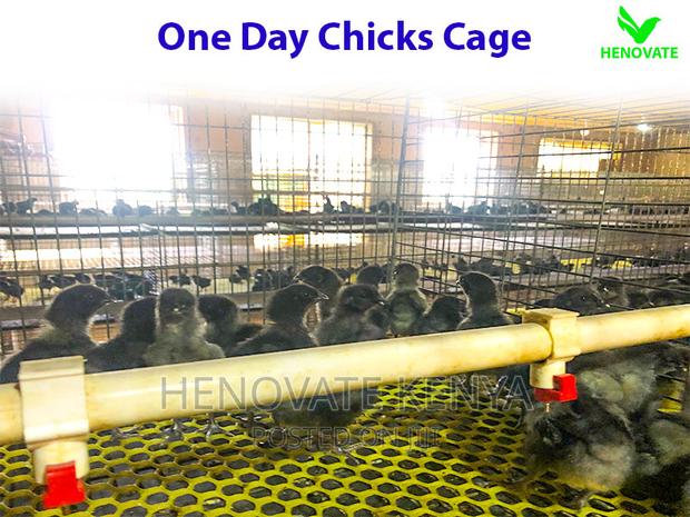 Chicks Cage for One Day - thumbnail 4