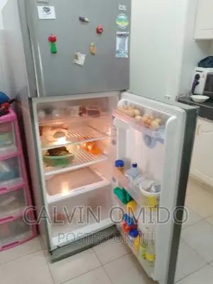 Technician Fundi for Fridge's My Place