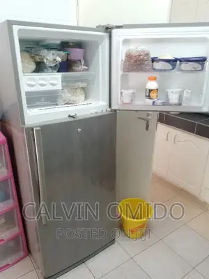 Technician Fundi for Fridge's My Place