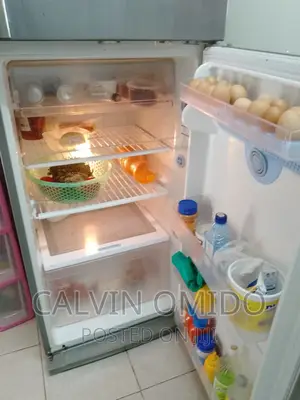 Technician Fundi for Fridge's My Place