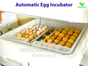Modern Automatic Egg Incubator(Ruiru Kenya)