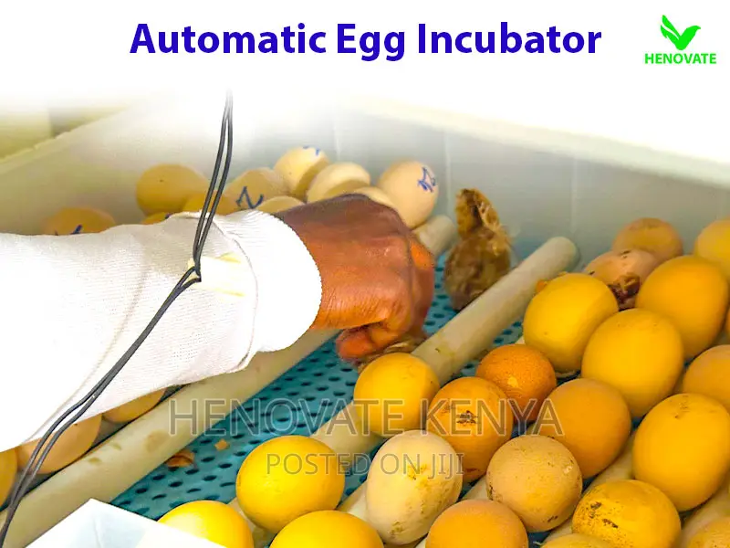 Modern Automatic Egg Incubator(Ruiru Kenya)
