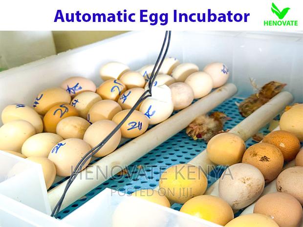 Modern Automatic Egg Incubator(Ruiru Kenya) - thumbnail 6