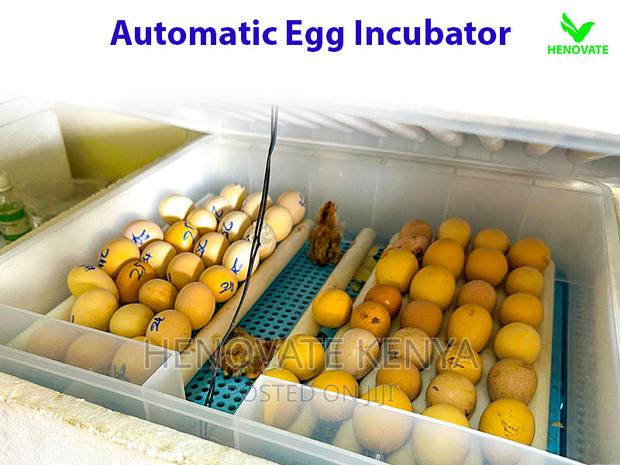 Modern Automatic Egg Incubator(Ruiru Kenya) - thumbnail 4