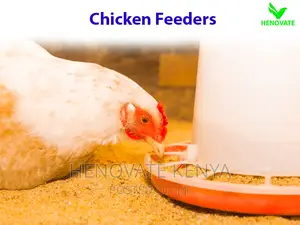 Poultry Feeders in Kenya(Good Quality)