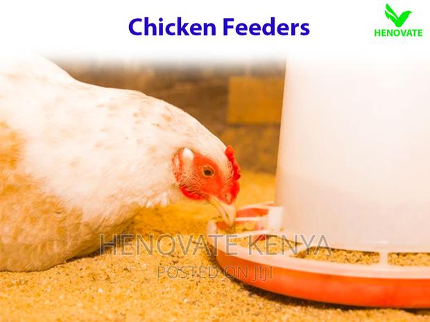 Poultry Feeders in Kenya(Good Quality) - thumbnail 2