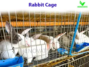 Commercial Rabbit Cages