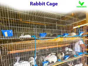 Commercial Rabbit Cages