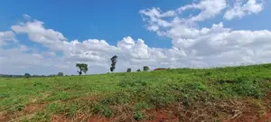 150 Acres for Sale in Kiambu Tatu City