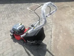 Gasoline Lawn Mower in Stock -Best of All