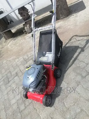 Gasoline Lawn Mower in Stock -Best of All