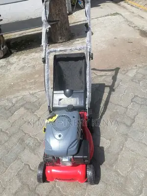 Gasoline Powered Lawn Mower Hanseatic Brand