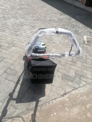 Gasoline Lawn Mower Hanseatic Brand -Quality Assured