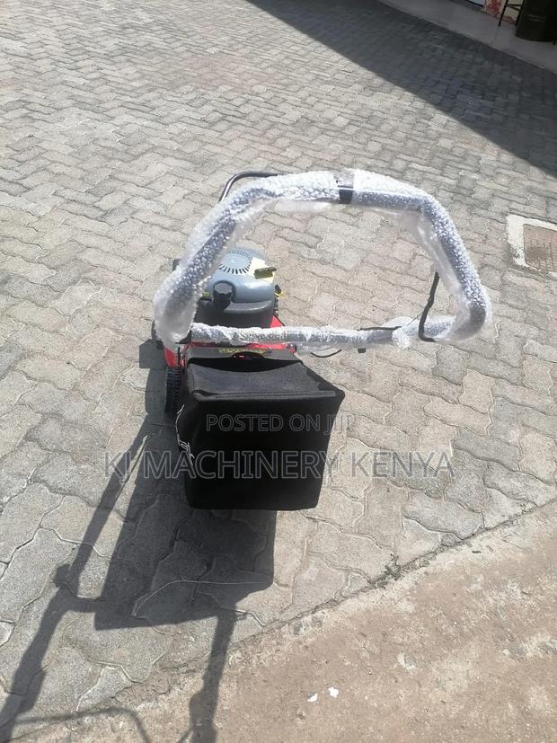 Gasoline Lawn Mower Hanseatic Brand -Quality Assured