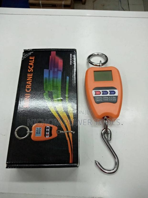 Mini Crane Scale - main view