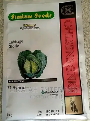 Gloria F1 Hybrid Cabbage 50gms
