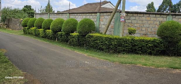 2bdrm Bungalow in Elgonview for sale - thumbnail 3