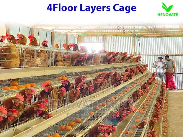 128 Birds Layers Cage - thumbnail 5