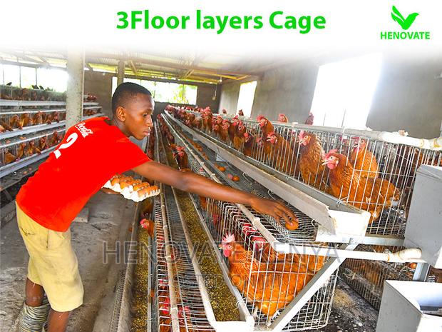 3 Tiers 96 Birds Layer Cage - thumbnail 4