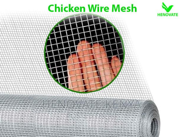 Chicken Wire Mesh - main view