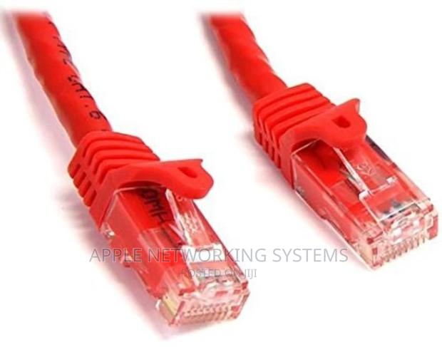 Molex Cat 6A 3mtr Patch Cord - main view