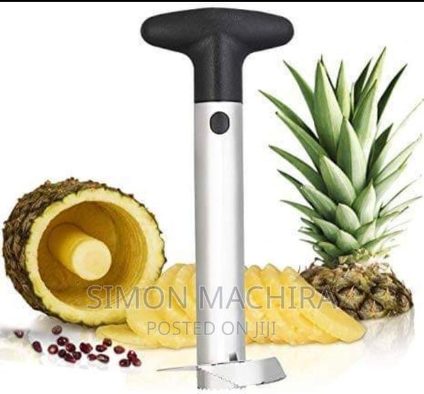 Pineapple Peeler - main view