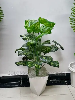 1m Plant + Hard Plastic Vase With Pebble Stones