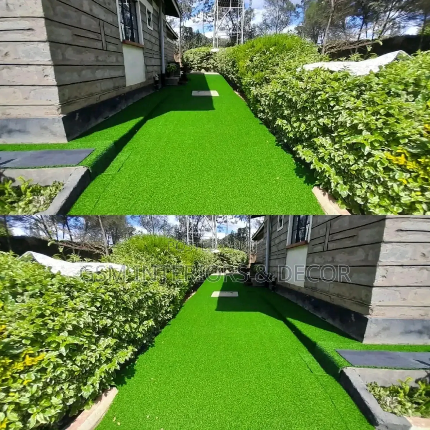 Grass Carpet Grass Carpet Grass Carpet Grass Carpet Grass