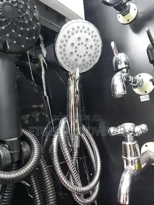 Telephone Shower - Silver