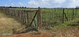 Plots for Sale in Kimumu Marura After Bridge in Eldoret