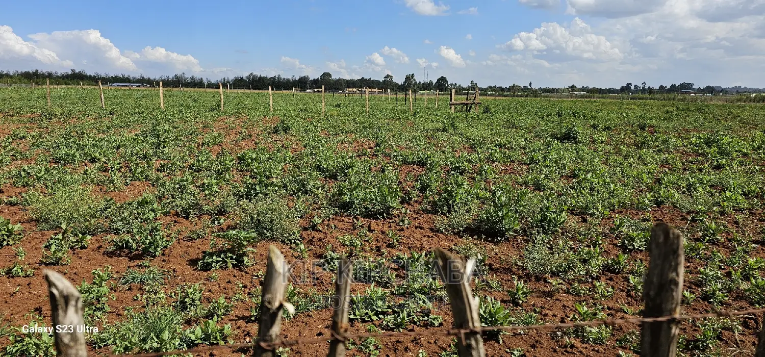 Plots for Sale in Kimumu Marura After Bridge in Eldoret