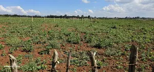 Plots for Sale in Kimumu Marura After Bridge in Eldoret