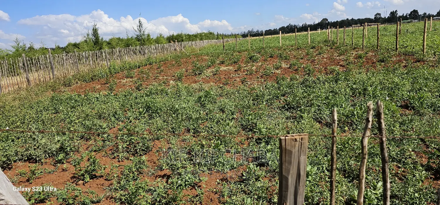 Plots for Sale in Kimumu Marura After Bridge in Eldoret