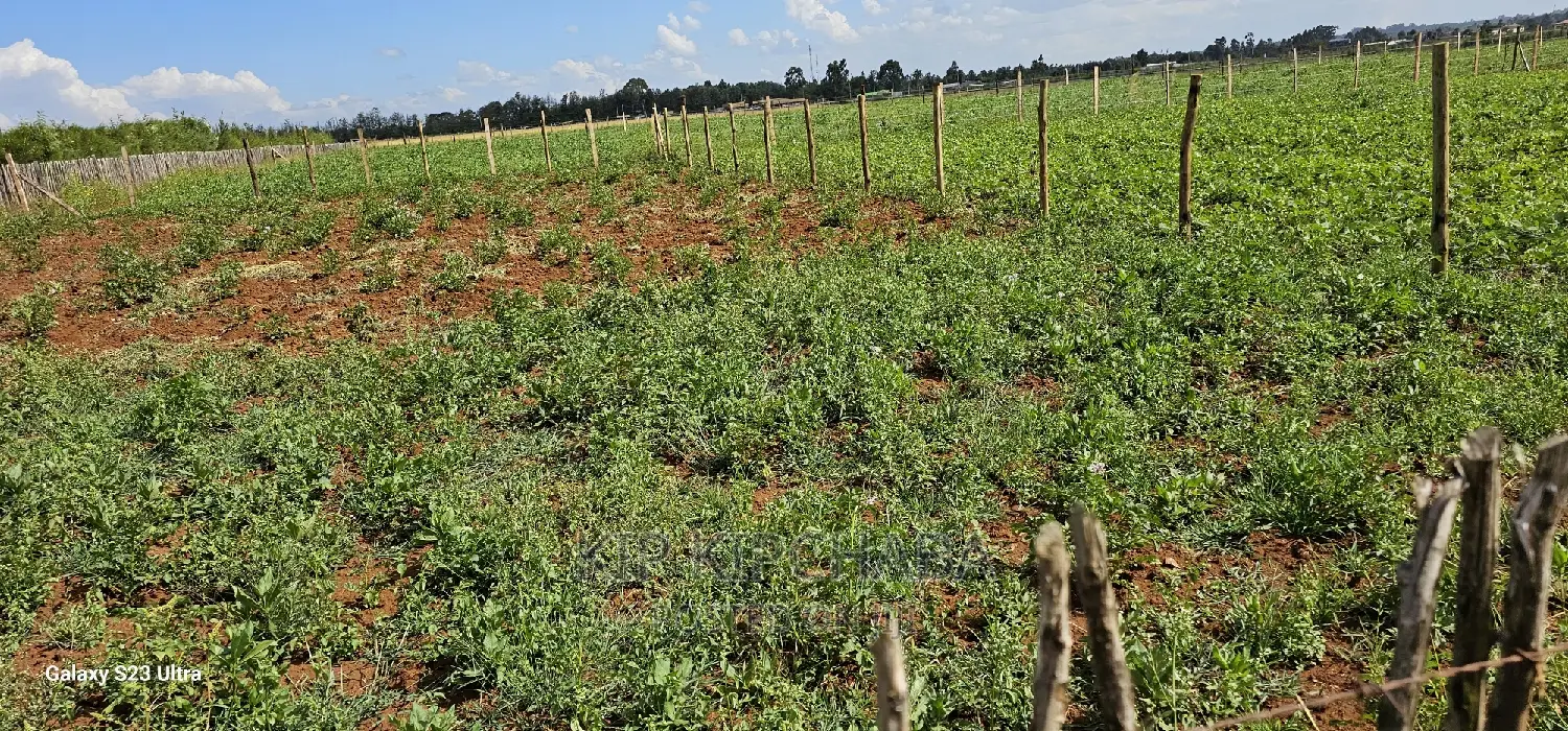 Plots for Sale in Kimumu Marura After Bridge in Eldoret