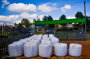 Full Corn Maize Silage