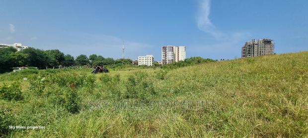 Nyali, 5 Acre Sandy Beach Plot on Sale - thumbnail 13