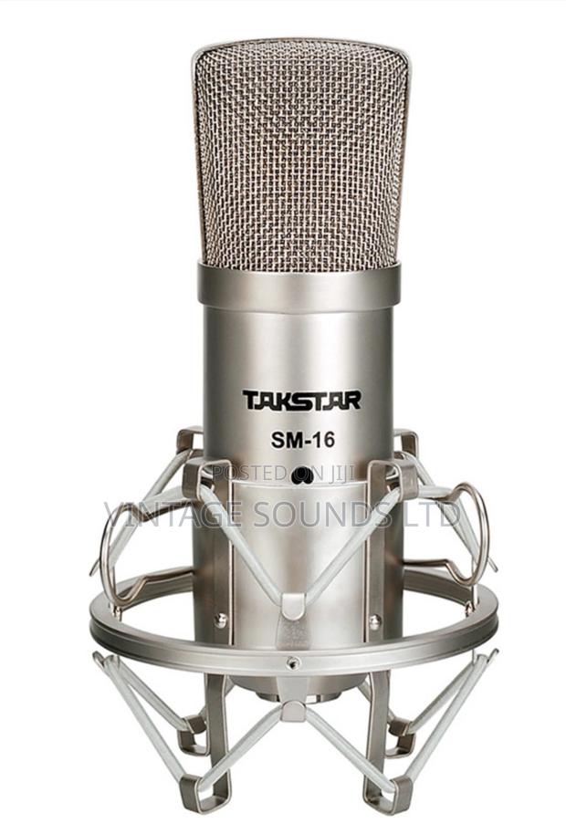 Takstar SM-16 Recording Studios Condenser Microphone - main view