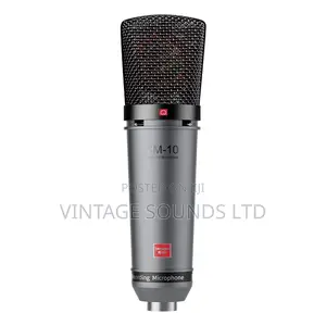 Takstar SM-10 Professional Recording Microphone