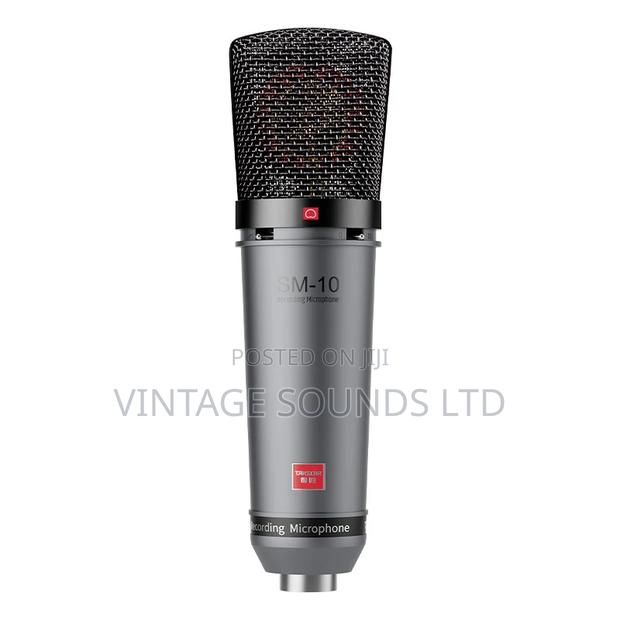 Takstar SM-10 Professional Recording Microphone - thumbnail 2