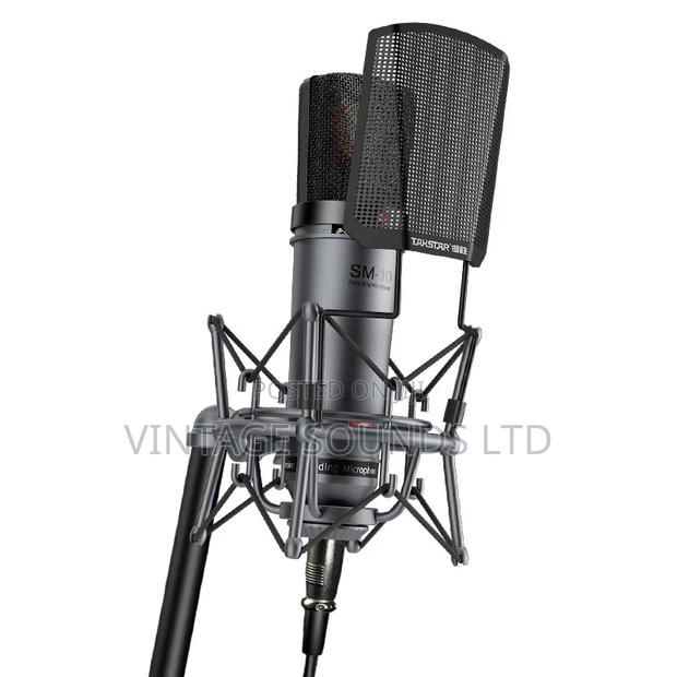 Takstar SM-10 Professional Recording Microphone